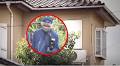 Shocking 20-Year-Old Secret Leads To Woman’s Arrest