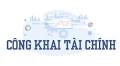Công khai thông tin tài chính năm 2024 của các doanh nghiệp do Đài THVN đầu tư, góp vốn