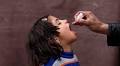 The "Miracle" of the Polio Vaccine