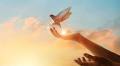 Miracle Prayer Code Explained: A Step-by-Step Path to Spiritual Empowerment