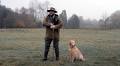 Dog Trainer Reveals 4 Crucial Daily Tasks to Do at Home