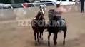 Matan a 7 en carrera de caballos en Chihuahua