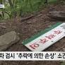 주왕산 실종 현장 가보니‥탐방로 벗어나자 바로 낭떠러지 | 대구MBC뉴스