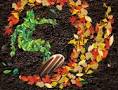 [Graphic News] October hits temperature record in Korea