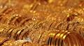 A Look at DPM Metals (TSX:DPM) Valuation Following Record Earnings, Growth Projects, and Dividend News
