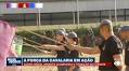 Veja treinamento da cavalaria da tropa de Choque