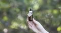 CBD Lawsuit Over Lost Job Gets Supreme Court’s Go-Ahead, Potentially Having Major Implications for Industry