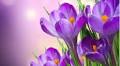 R. Brent Coleman Obituary - Lenoir, NC
