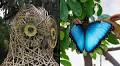 Flutter by this SoCal garden for bamboo bird sculptures and butterfly joy