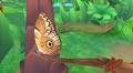 Review – Flutter Away
