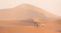 Explore Worldwide Launches First-Ever Tours to Algeria