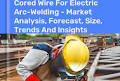 Latin America and the Caribbean’s Cored Arc-Welding Wire Market to Reach 102K Tons and $444M by 2035