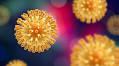 Novel strategy successfully suppresses HIV infection in mice