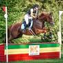 Horse & Country and EquiReel Partner with USEA to Deliver Unparalleled Video Coverage of the 2026 USEA AEC