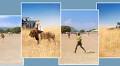 Lions by Day, Soccer by Night: The Secret Lives of Zambian Safari Guides