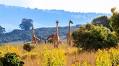 15 of the best safaris in Africa