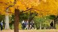 U of G Researchers Launch Next Phase of Community Health Project