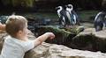 Lincoln Park Zoo reimagines visitor experience with machine learning