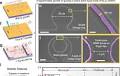 Ultracompact single-nanowire-morphed grippers driven by vectorial Lorentz forces for dexterous robotic manipulations