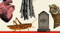 5 great reads by South African writers from 30 years of real-life stories
