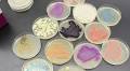 Beauty Meets Bacteria