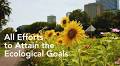 How Urban and Small-Scale Floriculture Feed Into the Overall Sustainability Agenda