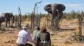 Deadly encounters: How Kenya is managing mounting toll of human-wildlife conflict