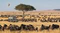 Kenya’s migration market shifts