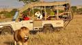 Travel review: Conservation-themed safari in Kenya