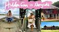 WATCH: Inside Kate Kendy’s Nanyuki Adventure