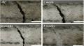A new type of concrete capable of regenerating itself is already starting to eliminate maintenance on bridges and buildings, increasing the durability of structures by up to 200% and potentially revolutionizing civil engineering worldwide. Learn about 'biological