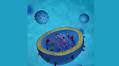 Tapping into the potential of platelet-derived exosomes in aesthetics