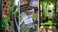 10 Books That Teach You Everything About Terrace Gardening