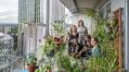 National Trust Sky Gardening challenge brings nature to the city