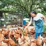 WOAH warns of global risk from underfunded veterinary systems
