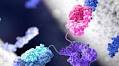MSD Animal Health to Acquire Elanco’s Aqua Business