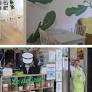 A Bologna c'è un distretto di cucina vegana: in via Mascarella due nuovi locali hanno certificato la vocazione «veg» della strada
