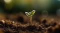 Athens Welcomes the 12th Agri-Food Sector Group Meeting of the Enterprise Europe Network