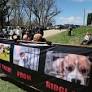 Rep. Mark Pocan urges state to protect Ridglan Farms’ dogs