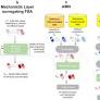 A neural-mechanistic hybrid approach improving the predictive power of genome-scale metabolic models