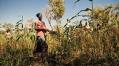 Fighting hunger, one garden at a time