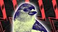 Goldfinch’s third default shows just how risky undercollateralised crypto lending can be