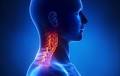 Bispecific ADC Iza-Bren Leads to Improved ORR Vs Chemo in Nasopharyngeal Cancer