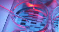 Pharmaceutical research and development pipeline
