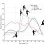Monty Python’s Silly Walk: A Gait Analysis & Wake-Up Call to Peer Review Inefficiencies