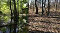 Attorney General Schwalb Secures $200,000 from Developer for Illegally Draining Wetlands and Polluting DC Waters