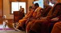 Buddhist Monks Begin Pilgrimage for Peace from Texas to Washington, DC
