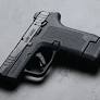 Ruger Expands the LCP MAX pistol line with a Magpul Enhanced Handgun Grip model