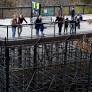 Como Zoo getting new big cat building ... just as its remaining lion moves out