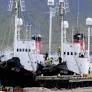 Declining Demand Pushes Iceland Whaling Towards Collapse